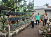 Polres Tinjau Pekarangan Lahan Bergizi Milik Warga di Pringgarata.