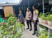 Kapolsek Seteluk Tinjau Pekarangan Bergizi, Dukung Program Ketahanan Pangan Nasional
