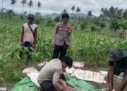 Bhabinkamtibmas Desa Lune Dukung Program Ketahanan Pangan Nasional