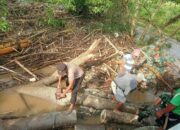 TNI-Polri Di Moyo Hilir Kompak Bersama Masyarakat Gotong Royong Bersihkan Sampah Di Jembatan