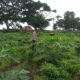 Polisi Sambangi Petani Jagaraga, Dorong Optimalisasi Lahan