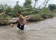Polri Bersama Tim Gabungan Lanjutkan Pencarian Hari Kedua Korban Banjir Bandang di Wera Bima