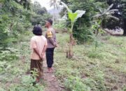 Dukung Ketahanan Pangan, Polisi Motivasi Warga Bertani
