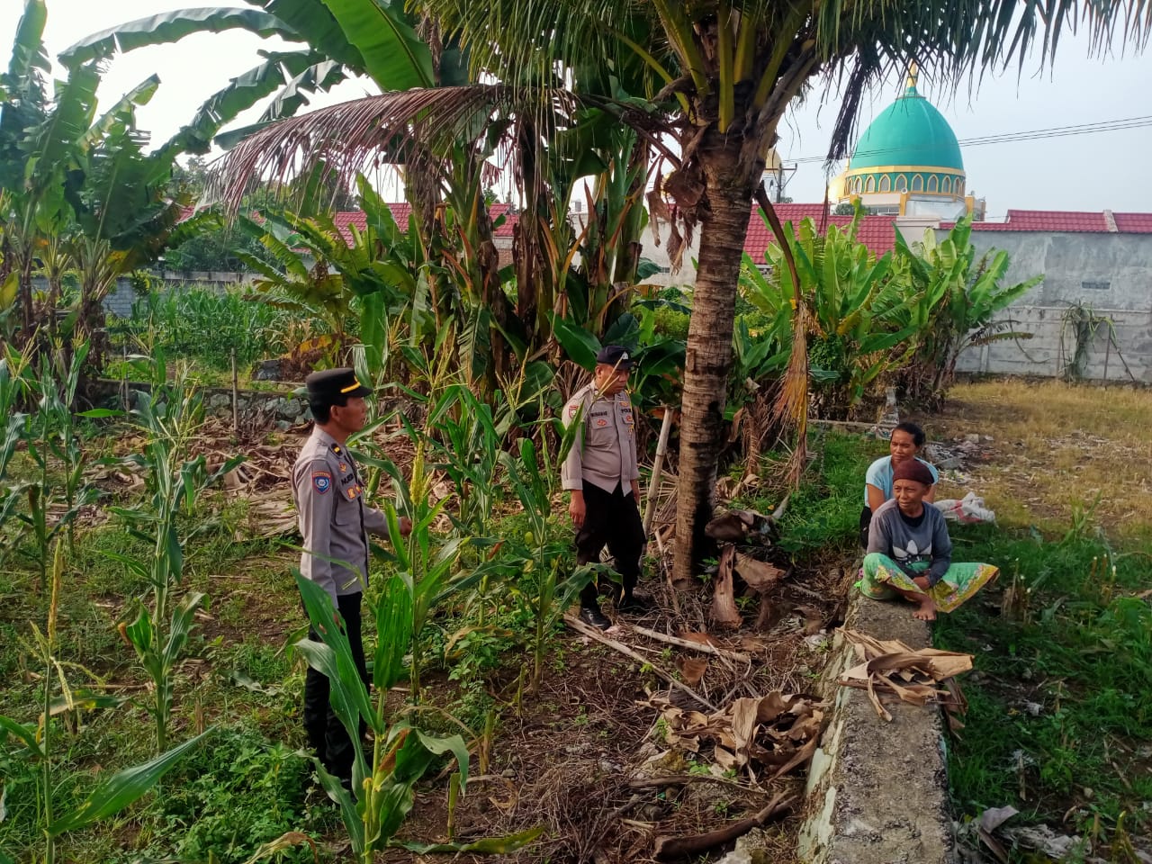 polsek, labuapi, polri, petani, pertanian, dukungan, program, pemerintah, bhabinkamtibmas, sinergi
