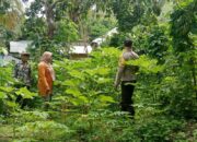Bhabinkamtibmas Cek Pekarangan Pangan Bergizi, Dukung Ketahanan Pangan Program Asta Cita Presiden RI