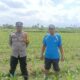 Sinergi Polri dan Petani: Polsek Gerung Galakkan Pemanfaatan Lahan Pekarangan untuk Pangan Bergizi