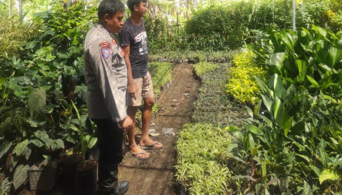 Bhabinkamtibmas Banyumulek Edukasi Warga Soal Kebun Pekarangan