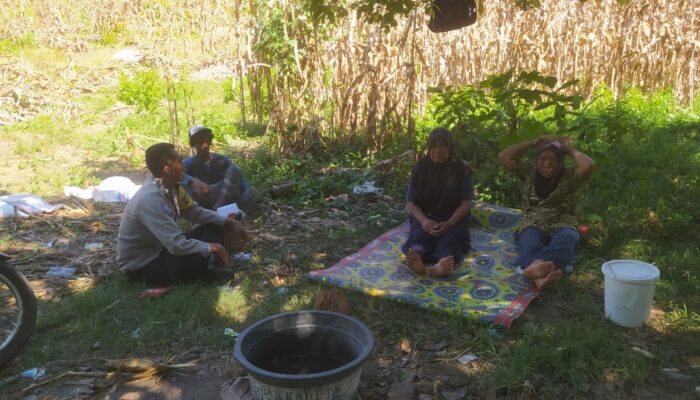 Bhabinkamtibmas Aktif Dampingi Petani Jagung di Desa Batu Putih