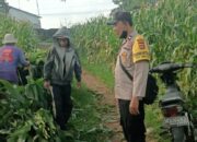 Polri Bersama Petani Wujudkan Ketahanan Pangan di Desa Ombe Baru