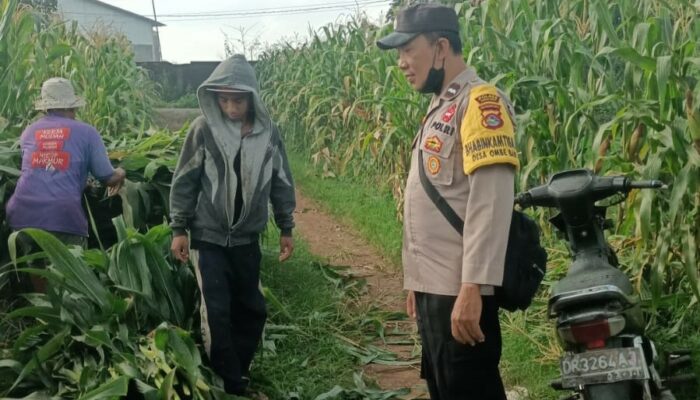 Polri Bersama Petani Wujudkan Ketahanan Pangan di Desa Ombe Baru