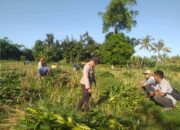 Polsek Kuripan Dukung Pemanfaatan Lahan Produktif di Desa Jagaraga