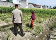 Polsek Labuapi Aktifkan Lahan Pekarangan untuk Pangan Lokal