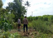 Polisi dan Petani Bersinergi Jaga Ketahanan Pangan di Sekotong