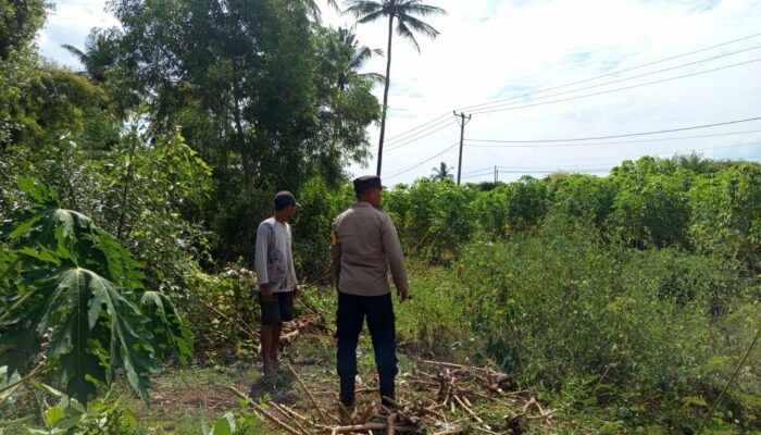 Polisi dan Petani Bersinergi Jaga Ketahanan Pangan di Sekotong