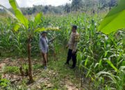 Sinergi Polri dan Petani: Kunjungan Kamtibmas di Dusun Jelateng Timur