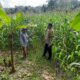 Bhabinkamtibmas Sekotong Timur Dampingi Petani Dukung Ketahanan Pangan