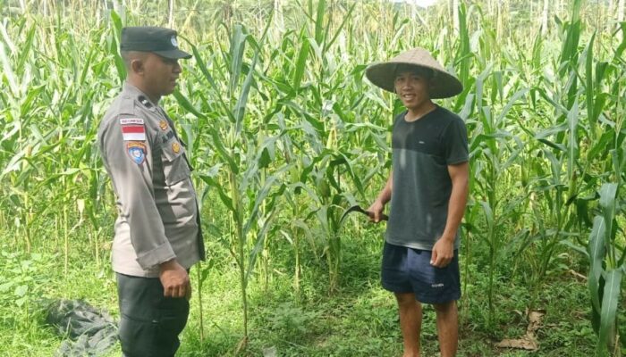 Polri Aktif Dukung Ketahanan Pangan di Lombok Barat