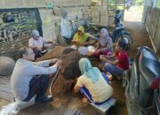 Lombok Barat Kembangkan Hortikultura Pekarangan untuk Ketahanan Pangan