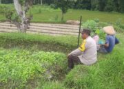 Sinergi Polri dan Petani di Kediri Lombok Barat Kuatkan Ketahanan Pangan
