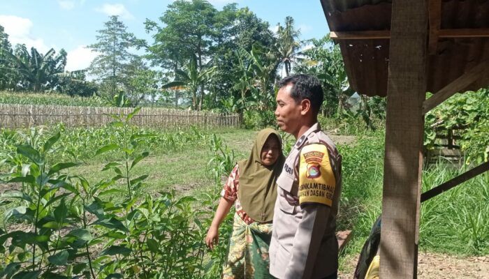Gerakan Pekarangan Bergizi Mulai Diterapkan di Dasan Geres