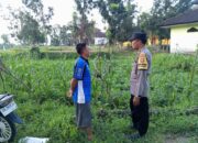 Pemanfaatan Pekarangan Rumah Didorong Bhabinkamtibmas di Kuripan