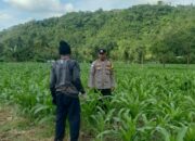 DDS di Lombok Barat: Polisi Ajak Warga Optimalkan Pekarangan