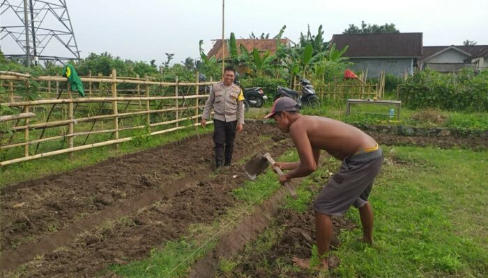 Sinergi Polri dan Warga Jagaraga Wujudkan Pangan Mandiri