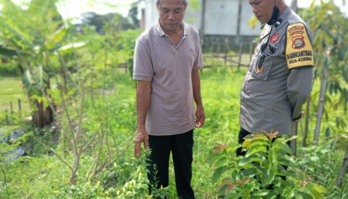 Sinergi Polri-Masyarakat Wujudkan Kemandirian Pangan di Lombok Barat