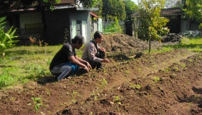 Swasembada Pangan, Polres Lombok Barat Terjun Langsung ke Masyarakat