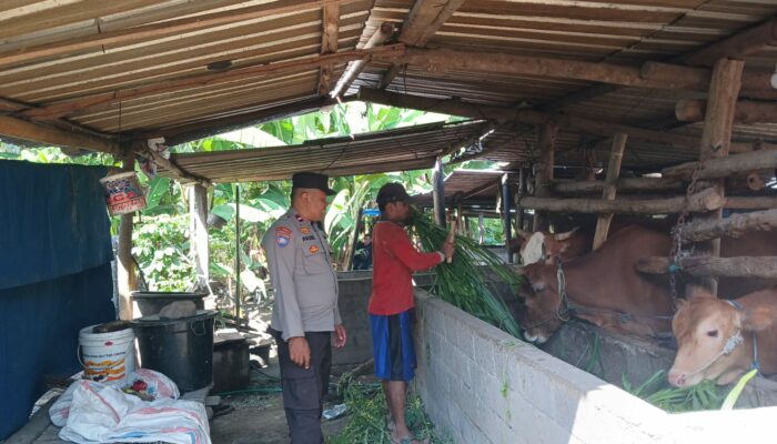 Polres Lombok Barat Perkuat Sektor Pertanian dan Peternakan