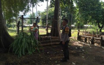 Sinergi Polri-Masyarakat Bangun Ketahanan Pangan Lokal di Batulayar