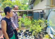 Pekarangan Produktif di Bajur: Upaya Nyata Ketahanan Pangan