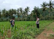 Polisi Bantu Petani: Sambang Pertanian di Dusun Pendem Baru