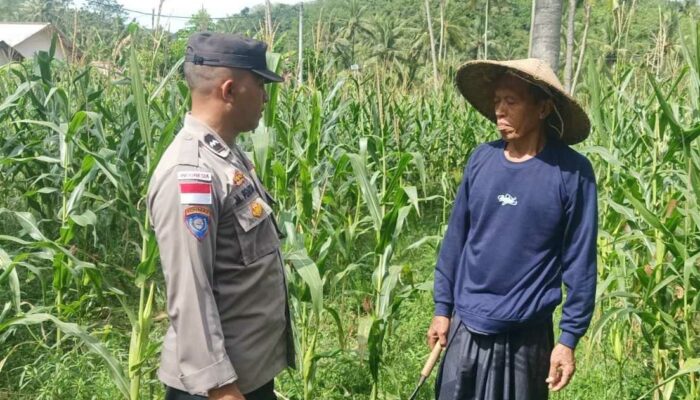 Ketahanan Pangan Dimulai dari Sekotong: Peran Aktif Bhabinkamtibmas Desa