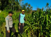 Kunjungan Humanis Polisi ke Lahan Jagung Dusun Tendaun