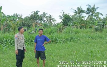 Bhabinkamtibmas Cendi Manik Dorong Ketahanan Pangan Lewat Kunjungan ke Petani