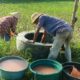 Polsek Gerung Perkuat Ketahanan Pangan Lewat Pendampingan Petani di Babussalam
