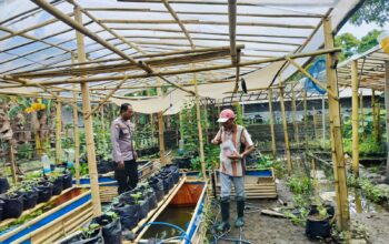 Bhabinkamtibmas Desa Bajur Dorong Kemandirian Pangan Warga Tempit