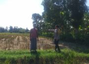Bhabinkamtibmas Desa Jagaraga Dorong Kemandirian Pangan dari Pekarangan Warga