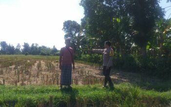 Bhabinkamtibmas Desa Jagaraga Dorong Kemandirian Pangan dari Pekarangan Warga