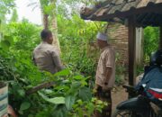 Ketahanan Pangan Dimulai dari Desa: Aksi Humanis Polri di Sekotong, Lombok Barat