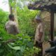 DDS Bhabinkamtibmas Sekotong, Upaya Sinergis Dukung Program Pangan Nasional