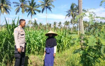 Sinergi Polri dan Petani Eyat Mayang Perkuat Ketahanan Pangan Nasional