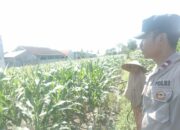 Bhabinkamtibmas Labuapi Ajak Warga Optimalkan Lahan Pekarangan untuk Ketahanan Pangan