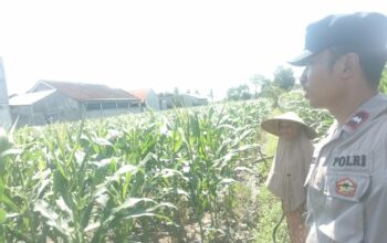 Bhabinkamtibmas Labuapi Ajak Warga Optimalkan Lahan Pekarangan untuk Ketahanan Pangan