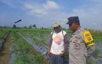 Bhabinkamtibmas Montong Are Dorong Swasembada Pangan di Kediri Lombok Barat