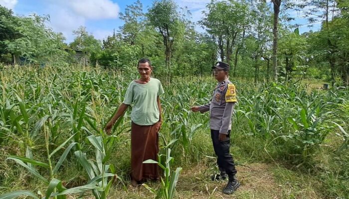 Sinergi Polri dan Warga Sekotong Wujudkan Ketahanan Pangan dari Pekarangan