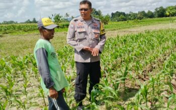 Bhabinkamtibmas Telagawaru Dorong Ketahanan Pangan Warga Paok Kambut