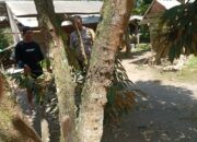 Ketahanan Pangan Desa Merembu Didorong Lewat Jalan Usaha Tani Baru