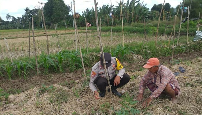Dari Jagaraga untuk Indonesia: Polisi Aktif Edukasi Warga tentang Pangan Mandiri